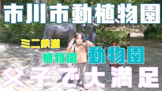 【市川市動植物園】父子でお出掛け☆千葉県【小さな動物園】