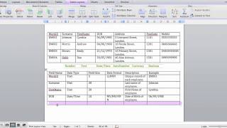 Data Dictionary Basics