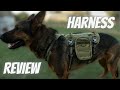 Our Favorite Harness/Backpack Combo for Dogs