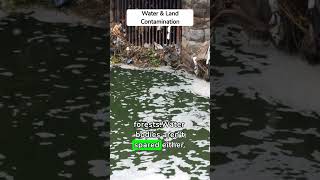 Diesel Environmental Impact
