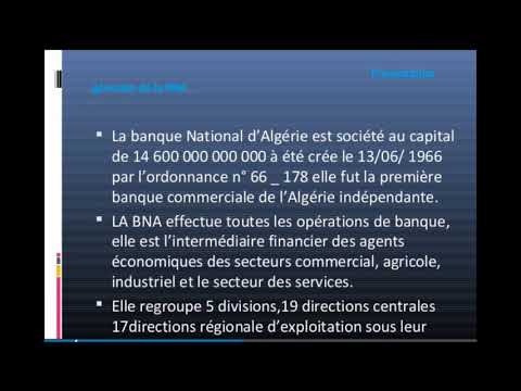 TECHNIQUES DE FINANCEMENT DES INVESTISSEMENT: LES CRÉDITS BANCAIRES ...