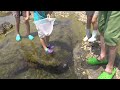 fun rocky shore play with children