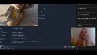 writing my own game engine (vulkan/c++) // weirdest timeline ⏳
