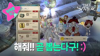 트리오브세이비어 팀배틀리그 pvp 3:3 일요일 밤 10시 15분부터 12시까지 HOT TIME #treeofsavior #tos #트오세