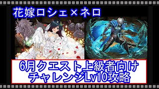 【パズドラ】花嫁ロシェ×ネロで6月クエスト上級者向け　チャレンジLv10攻略(2020/6/1)