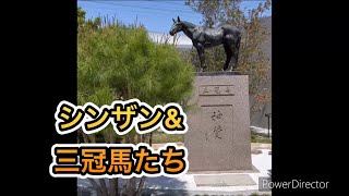 三冠馬メモリアルロード(京都競馬場)