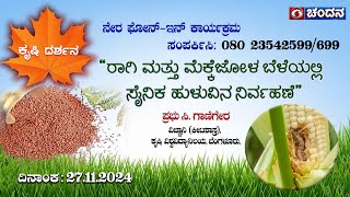 Krishi Darshana| Live PhoneIn | Management of Armyworm in Millet and Maize Crops | 27.11.2024 | 6 PM