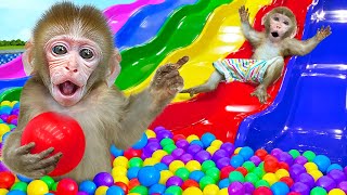 Monkey ChiKi play on Colorful Waterslides with Skateboard at Waterpark 🏊 | ANIMAL CHIKI