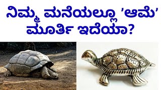 ನಿಮ್ಮ ಮನೆಯಲ್ಲೂ ಆಮೆ ಮೂರ್ತಿ ಇದೆಯಾ?