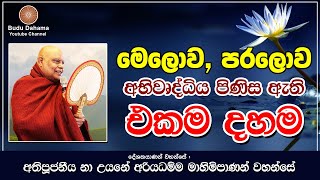 අප්පමාද සූත්‍රය - appamada suthraya | most ven na uyane ariyadhamma maha thero