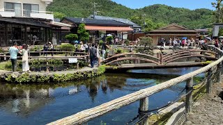 忍野八海のあたりで魚釣り！