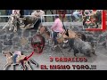 JUGADA TRÁGICA..!!! SE LLEVO 3 CABALLOS Y EL ZIKA ALCANZO…!!!!!