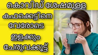 കഫക്കെട്ടിനെ വേരോടെ ഇളക്കും ചേരുവക്കൂട്ട് | Health Tips Malayalam | Tips for health | Ayurveda