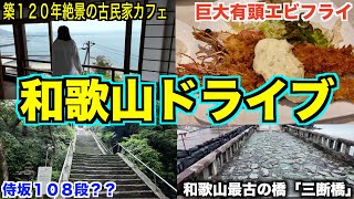 【絶景の宝庫】和歌山市和歌浦をドライブ！ 店主イチオシ絶景のカフェ紹介します♪
