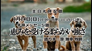 恵みを受ける柔らかい強さ（マルコの福音書7章24節～30節）