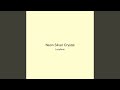Neon Silver Crystal