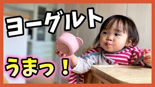 ヨーグルトが美味しすぎる１歳児！【うまっ！連発】