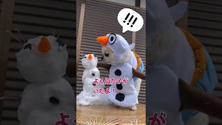 オラフみたいになったチワワさん #shorts #チワワ #犬 #コスプレ #chihuahua #dog #アナと雪の女王