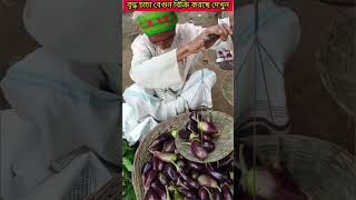 বাজারে চাচা দেখুন বেগুন বিক্রি করছে #vegetables #oldfather