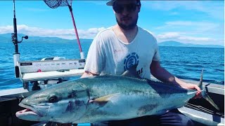 Jigging For BIG KINGFISH Kapiti New Zealand