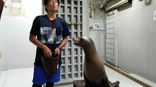 20180815 11:00 仙台うみの杜水族館スタジアムバックヤードツアー