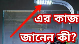 Aquarium light এর অসাধারণ ব্যবহার জানেন কি?না জানলে ভিডিওটি দেখুন। Arafat The Aquarium Fish Lover.