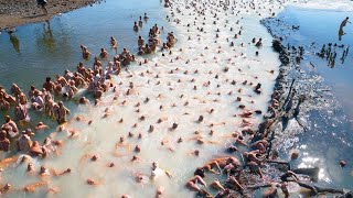 Lo Que Está Ocurriendo Con La Corriente Del Golfo Conmociona Al Mundo