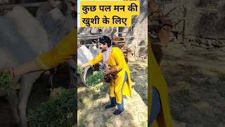 #द्वारिका गुजरात में गौशाला में जाने का अवसर प्राप्त हुआ #shortsvideo #trendingvideo #viralshort