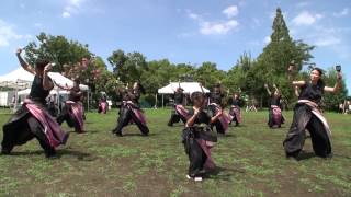 はしまサマーフェスティバル２０１５　【桜華乱舞】①　岐阜いまここで