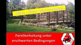 Dürre im Sommer 2020 | Forellenhaltung bei Hitze und Wasserknappheit