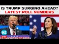 US Election LIVE | Donald Trump Vs Kamala Harris Who Is Winning The Swing States | Voting | Poll