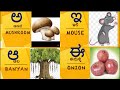 Kannada Alphabets with Picture|Learn Kannada Alphabet/Kannada Letters|KANNADA