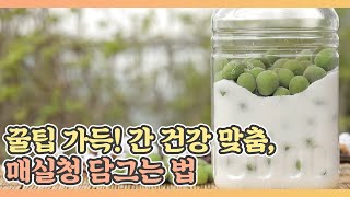 꿀팁 가득! 간 건강 맞춤, 매실청 담그는 법 MBN 210528 방송