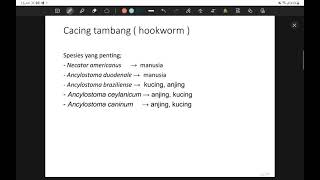 Necator Americanus dan Ancylostoma Duodenale - Nematoda Usus 3 | Parasitologi #3