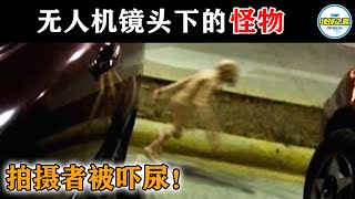 男子被停车场一幕吓尿了！15个无人机拍到的怪异生物，千万不要在半夜观看！丨地球之最#冷知识 #排名 #世界之最#怪异生物#外星人#未知物种#外星物种#灵异事件#幽灵#ufo#不明飞行物#top10