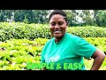 How To Start A Farm & Operate It 24/7 In Ghana Without Always Being Present | Tips For Beginners