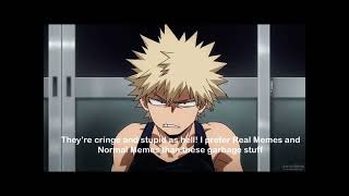 My opinion on Fill-in Memes on DeviantArt
