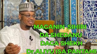 MAGANIN SIHIRI DA SHEDANU (ALJANU) DAGA Sheik  Dr Aliyu isha pantami