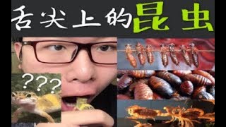 舌尖上的昆虫：中国十种昆虫美食