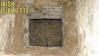 The Irish Oubliette - History's Most BRUTAL Execution Method?