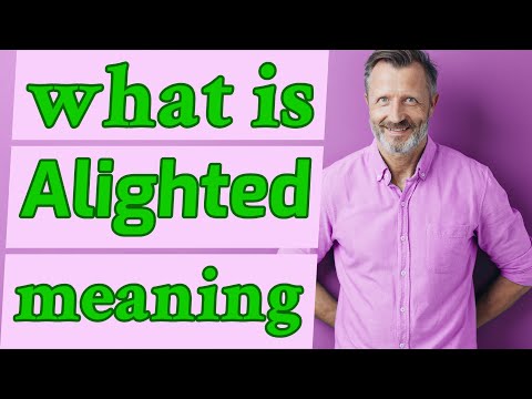 What is the meaning of alighted in English?