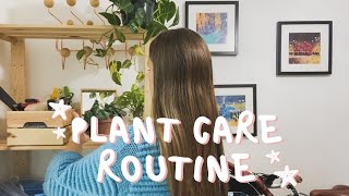 Plant Care Routine | A Typical Saturday Morning Caring for my Plants