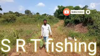 maral fish catching in 3kg and Rao fish 2kg my village drainage catch