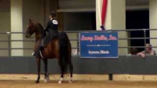 Eva Mores Shows Star Sighting at Indy All American Horse Classic:  September 4, 2013