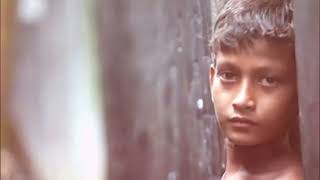 ১২ জুন বিশ্ব শিশুশ্রম প্রতিরোধ দিবস | STOP CHILD LABOR| আমাদের সমাজের অন্ধকার দিক ও প্রতিরোধের উপায়