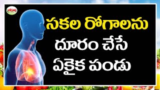 సకల రోగాలను దూరం చేసే ఏకైక పండు. | Healthy Fruits For Skin,Hair | Aarogyasutra