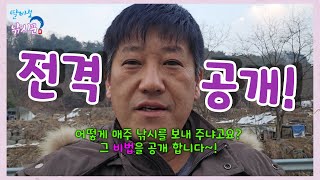 매주 낚시가는 비법 공개~! #라감독 #라피디 #가평 #쥬쥬키즈풀빌라