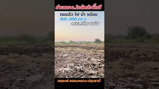 สวยสุดๆ‼️ #โมเมย์ขายที่ดิน #ขายที่ดิน #ที่ดินถมแล้ว #น้ำไฟพร้อม #ที่ดินสวนเกษตร