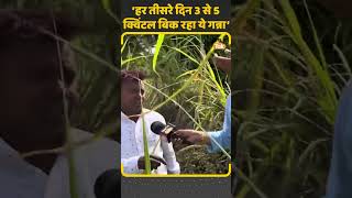 Sugarcane Farming: ये किसान हर तीसरे दिन गन्ना बेचकर कर रहा इतनी कमाई | Kisan Tak