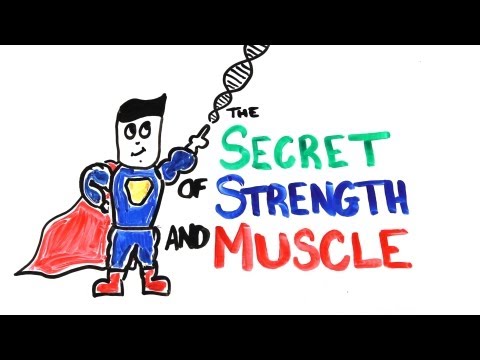 The Scientific Secret of Strength and Muscle Growth The Scientific Secret of Strength and Muscle Growth